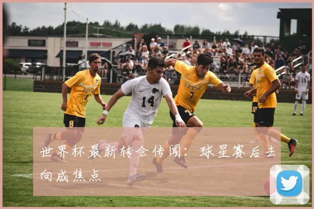 世界杯最新转会传闻:球星赛后去向成焦点